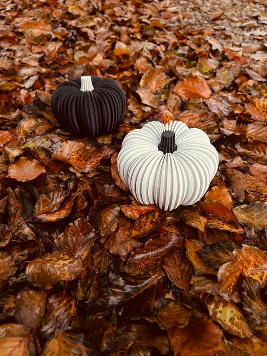 Autumn Pumpkins